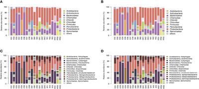 Ocean Currents May Influence the Endolithic Bacterial Composition in Coral Skeletons